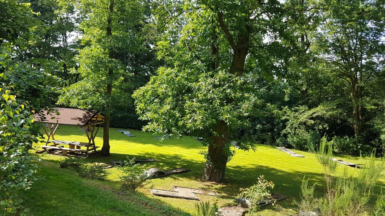 Schweizer Haus Wippra Daire Dış mekan fotoğraf