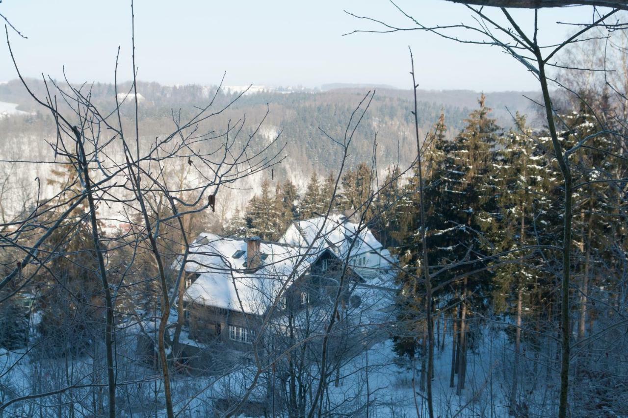 Schweizer Haus Wippra Daire Dış mekan fotoğraf